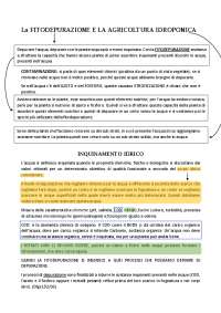Fitodepurazione e Agricoltura Idroponica: Depurazione di Acque Inquinate