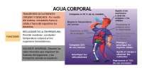 Líquidos cuerpo qasowwww