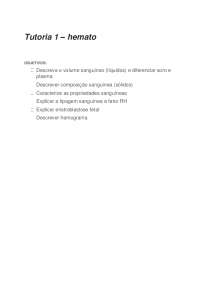 Composição Sanguínea: Plasma, Células e Tipos Sanguíneos