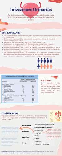 Infecciones Urinarias: Epidemiología, Clasificación, Patogenia, Diagnóstico y Tratamiento