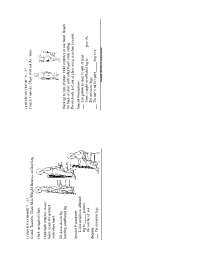 physical therapy  exercises
