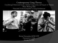 Contemporary Gang Theory