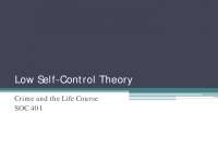 Low Self-Control Theory: Understanding the Stability and Versatility of Crime