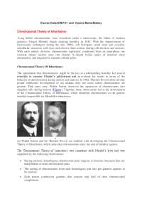 Cytoplasmic Inheritance: Beyond Mendelian Genetics