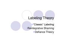 Labeling Theory: An Ironic Twist of Social Interactionism and Conflict Theory