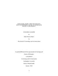 Subcultural Identities' Impact on Delinquency in Middle-Class Teens