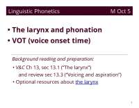 Larynx and Phonation: Understanding the Structure and Mechanisms of Voice Production