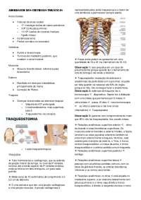 Aproximação das Cirurgias Torácicas: Anatomia e Patologias