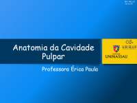 Anatomia da CAVIDADE PULPAR