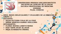 SEMINARIO 13.pptx.......................................................