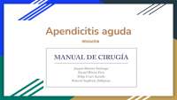 Fundamentos teóricos de la apendicitis aguda