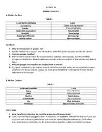 This is a assignment with answer, these is all about zoology about animal diversity.