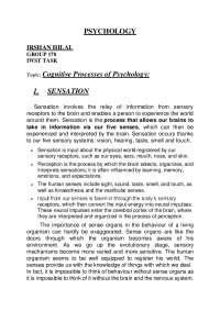 Cognitive processes of Psychology notes - Docsity