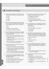 amplificador programable