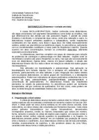 estudo e resumo das diatomáceas