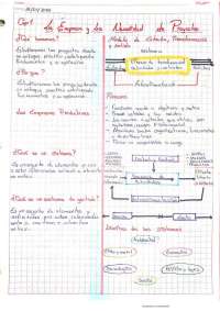 La empresa y la necesidad de proyecto