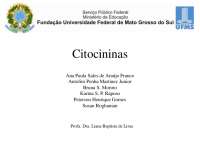 Citocininas - slide de um trabalho na disciplina de Fisiologia Vegetal