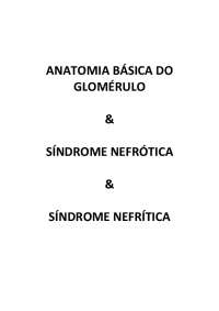 Resumo a anatomia básica do glomérulo, síndrome nefrótica e síndrome nefrítica.