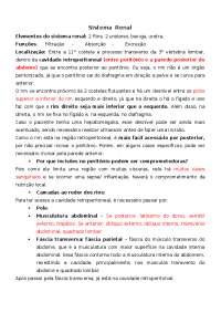 Anatomia do Rins: Elementos e Funcionalidades