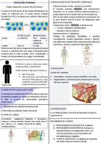fisiología humana generalidades