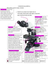 Exercícios de imunologia clínica