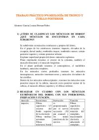 Músculos del dorso y su relación con la escápula