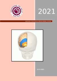 Anatomía y función de la corteza cerebral humana. Áreas de Brodman
