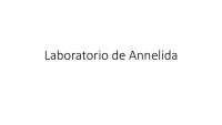 contenido sobre fanerogamas
