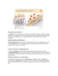 cosmetolgia ind 20110
