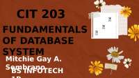 Fundamental Database System