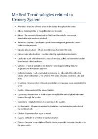 Medical terminologies related to urinary system, definitions, diseases of urinary system,