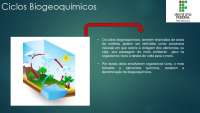 Ciclos Biogeoquímicos: Definição e Ciclos Importantes.
