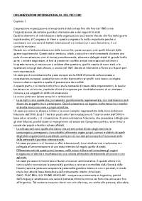 Diritto delle Organizzazioni Internazionali: Struttura, Funzioni e Ruolo nel Diritto Inter
