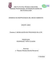 P3 procesos en Lote dinamica