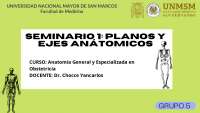 Planos y Ejes Anatómicos: Una Introducción a la Anatomía Humana - Prof. minus