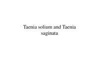 Tapeworms Taenia saginata and Taenia solium: Morphology, Life Cycle, and Pathogenicity