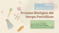 proceso biológico del penicillium