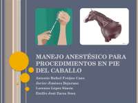 manejo anestésico en pie equino