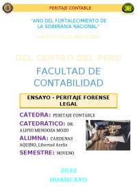 peritaje contable forence