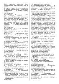 Ejercicios de Anatomía: Base del Cráneo y Músculos de la Cara