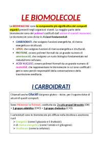 Biomolecole riassunto