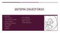 Desenvolvimento do Sistema Digestivo: Análiese da Formação do Intestino Anterior