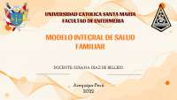 modelo de atencion integral en la familia