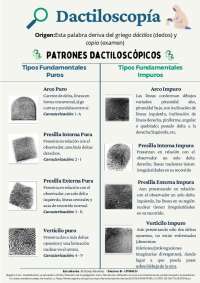 Dactiloscopia - Patrones Dactiloscópicos: Fundamentales Puros y Fundamentales Impuros