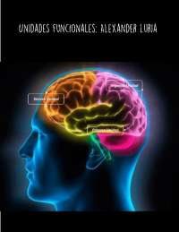 Unidades funcionales de Luria | Apuntes de Neuroanatomía - Docsity
