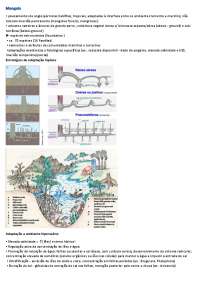 Resumos ecossistemas