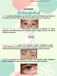 GLOSARIO SOBRE EXPLORACIÓN OCULOPALPEBRAL
