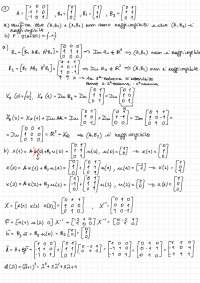 Formula di Ackermann: Sintesi e esercizi - Prof. Consolini