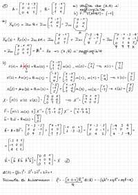 Formula di Ackermann e algebramente indeterminate - Prof. Consolini