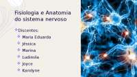 Fisiologia e Anatomia do Sistema Nervoso: Proteção, Neurônios e Sistemas Autônomos